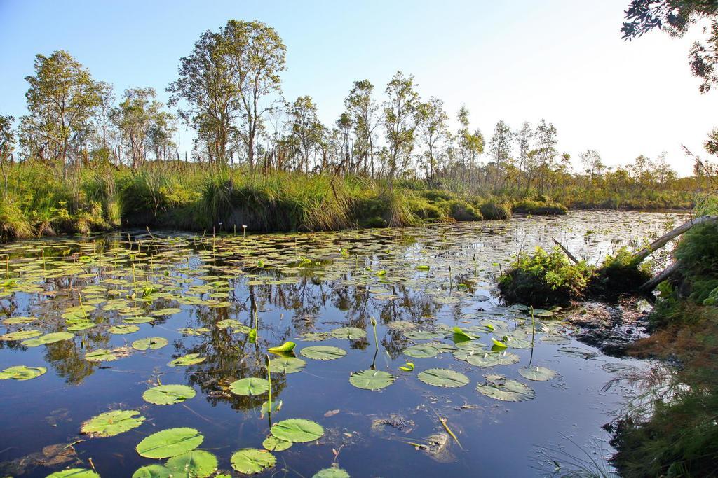 Salamander Bay Bed And Breakfast Buitenkant foto